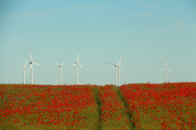 Kirchliches Bündnis warnt vor Ausbremsen der Energiewende