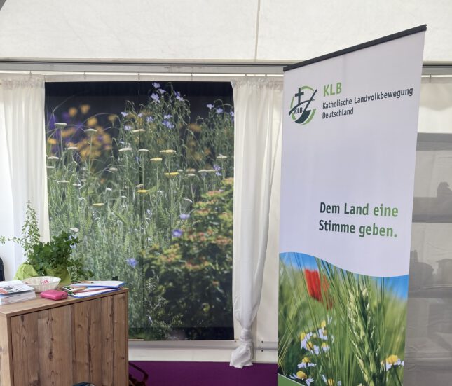 Dem Land eine Stimme geben!