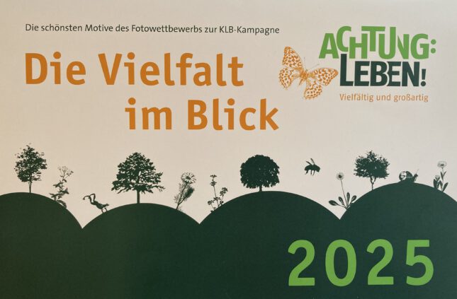 Wir nehmen die Vielfalt in den Blick – Der Kalender für 2025 ist da