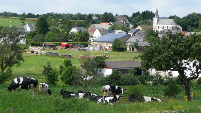 Landvolkbewegung für Fortführung und Stärkung von „Zwei-Säulen-Modell“ der EU-Agrarpolitik auch nach 2020